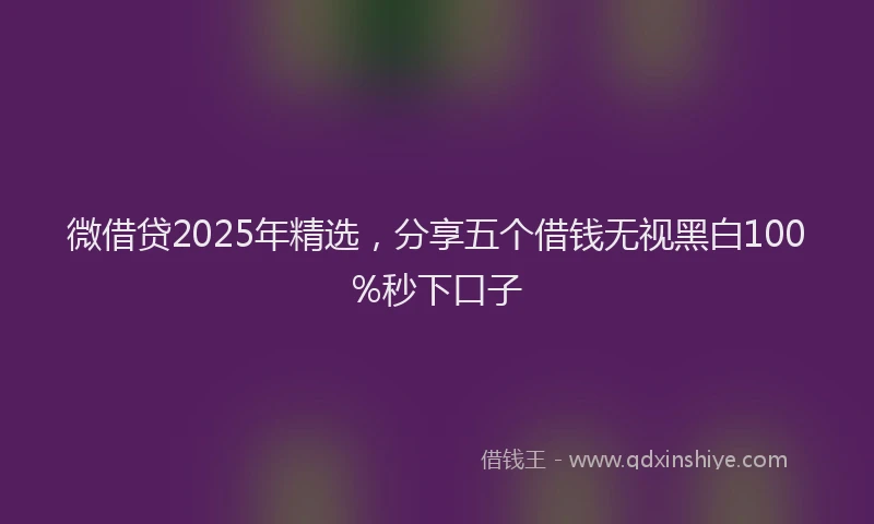 微借贷2025年精选，分享五个借钱无视黑白100%秒下口子