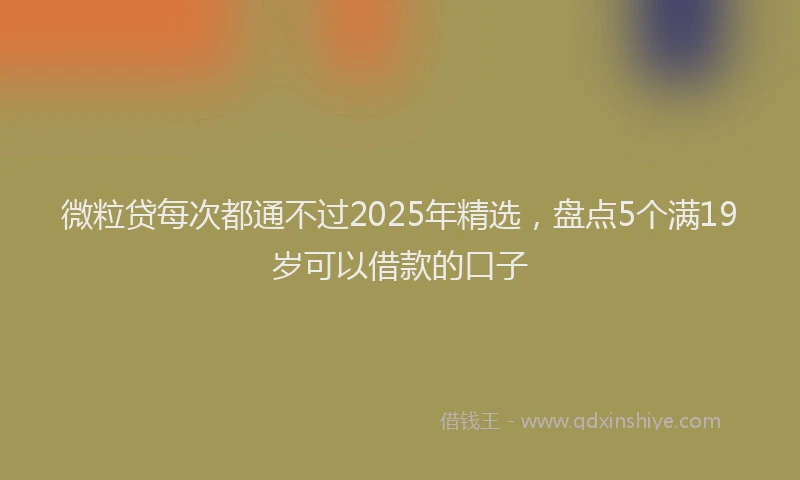 微粒贷每次都通不过2025年精选，盘点5个满19岁可以借款的口子