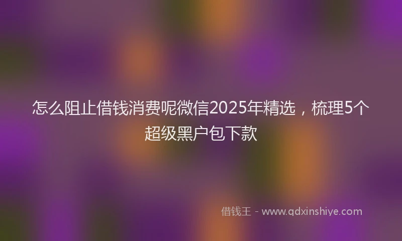 怎么阻止借钱消费呢微信2025年精选，梳理5个超级黑户包下款