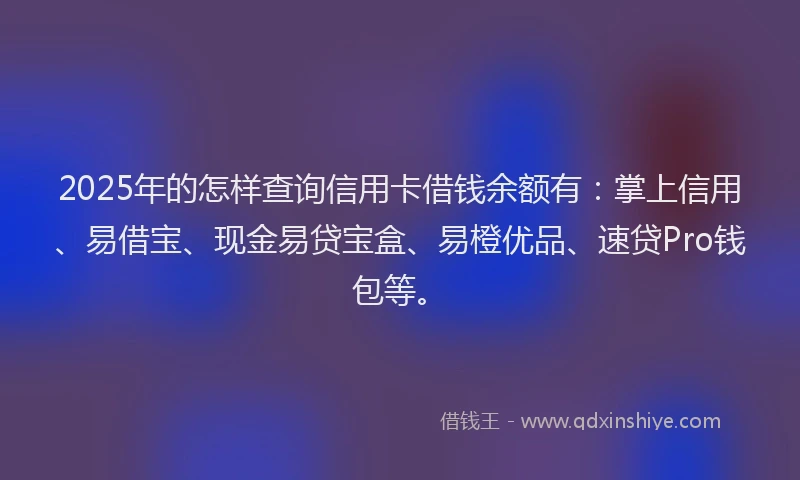 2025年的怎样查询信用卡借钱余额有：掌上信用、易借宝、现金易贷宝盒、易橙优品、速贷Pro钱包等。