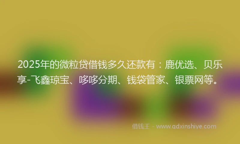 2025年的微粒贷借钱多久还款有：鹿优选、贝乐享-飞鑫琼宝、哆哆分期、钱袋管家、银票网等。