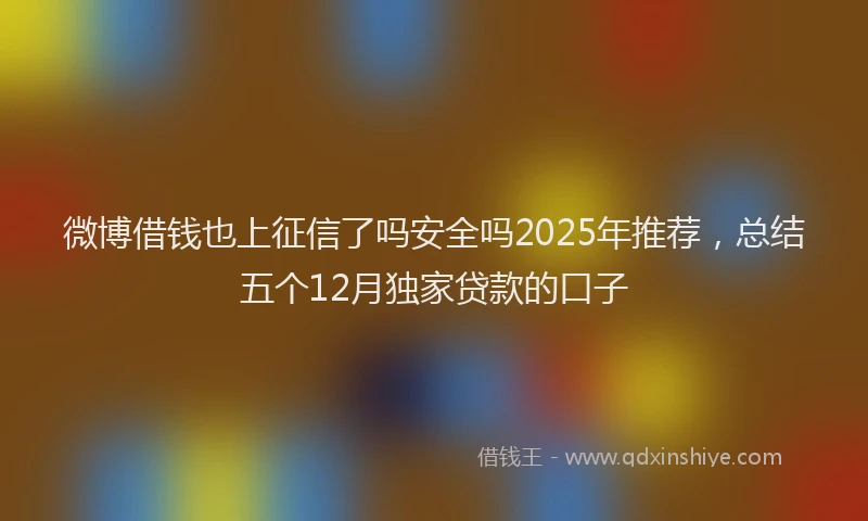 微博借钱也上征信了吗安全吗2025年推荐，总结五个12月独家贷款的口子
