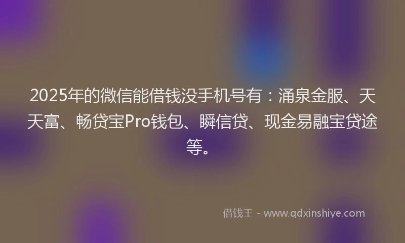 2025年的微信能借钱没手机号有：涌泉金服、天天富、畅贷宝Pro钱包、瞬信贷、现金易融宝贷途等。