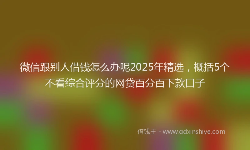 微信跟别人借钱怎么办呢2025年精选，概括5个不看综合评分的网贷百分百下款口子