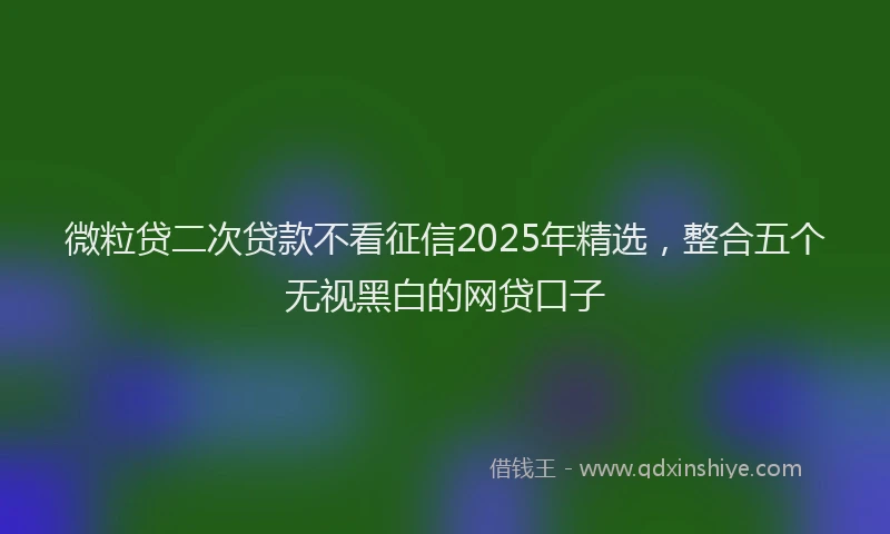 微粒贷二次贷款不看征信2025年精选，整合五个无视黑白的网贷口子