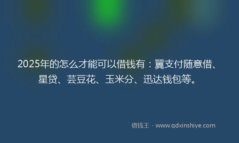 2025年的怎么才能可以借钱有：翼支付随意借、星贷、芸豆花、玉米分、迅达钱包等。
