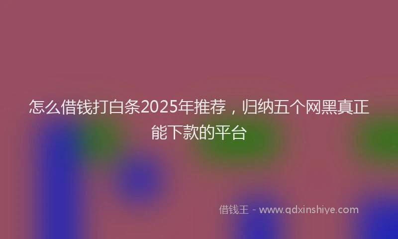 怎么借钱打白条2025年推荐，归纳五个网黑真正能下款的平台