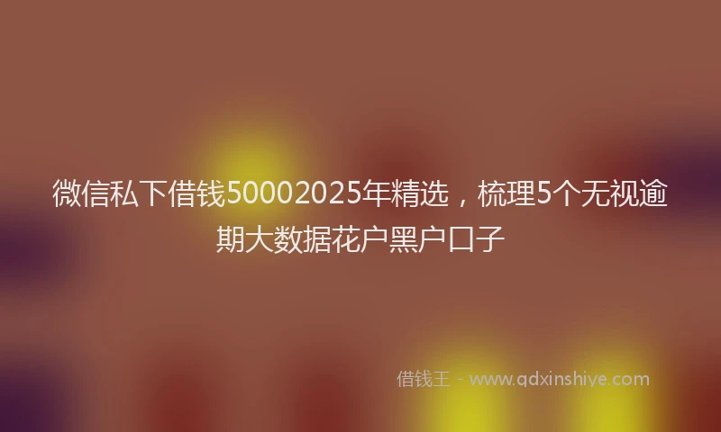 微信私下借钱50002025年精选，梳理5个无视逾期大数据花户黑户口子