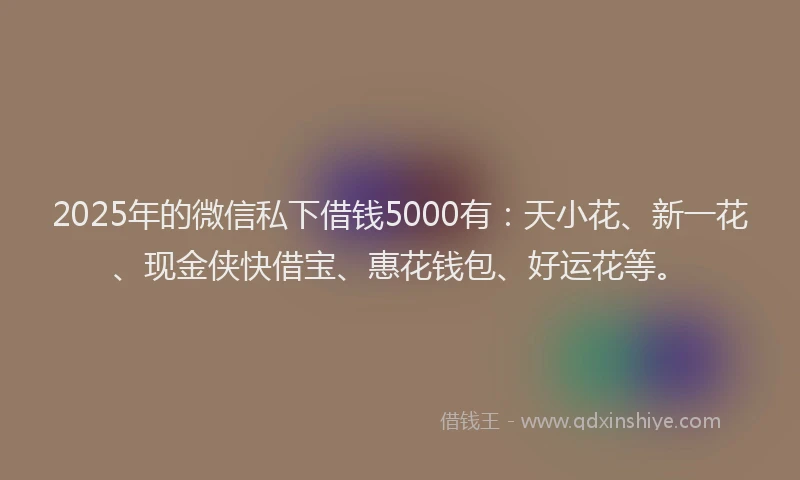 2025年的微信私下借钱5000有：天小花、新一花、现金侠快借宝、惠花钱包、好运花等。