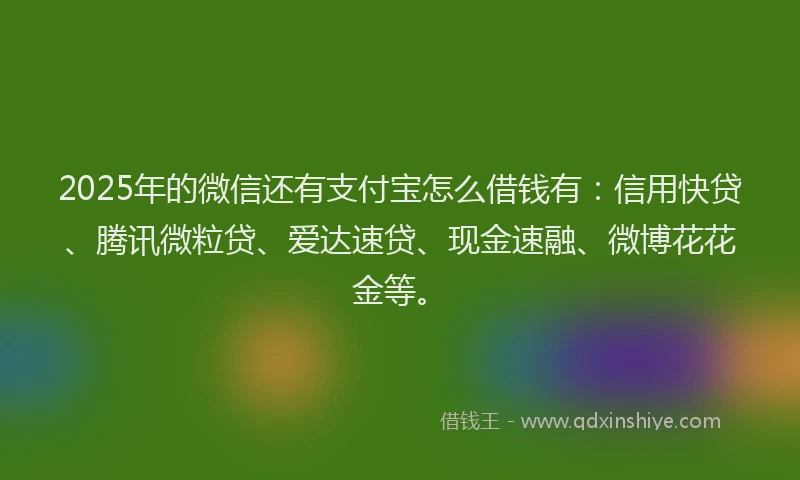2025年的微信还有支付宝怎么借钱有：信用快贷、腾讯微粒贷、爱达速贷、现金速融、微博花花金等。