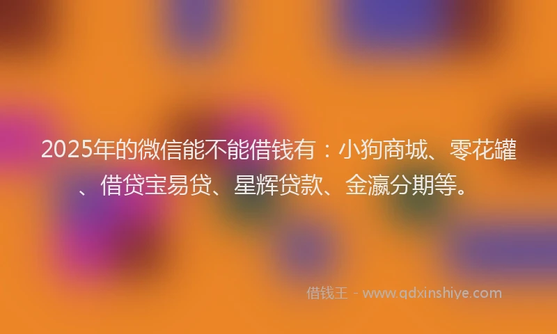 2025年的微信能不能借钱有：小狗商城、零花罐、借贷宝易贷、星辉贷款、金瀛分期等。