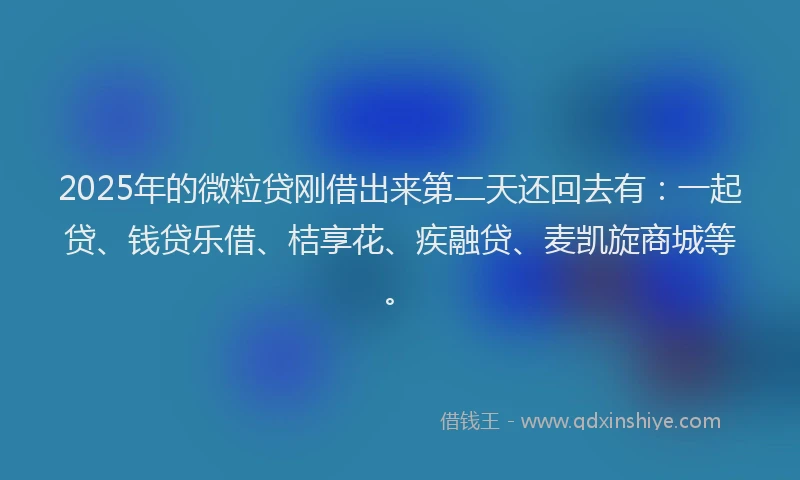 2025年的微粒贷刚借出来第二天还回去有：一起贷、钱贷乐借、桔享花、疾融贷、麦凯旋商城等。