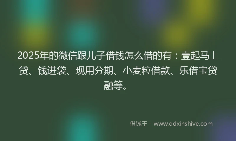 2025年的微信跟儿子借钱怎么借的有：壹起马上贷、钱进袋、现用分期、小麦粒借款、乐借宝贷融等。