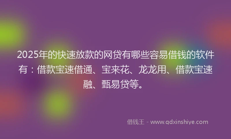 2025年的快速放款的网贷有哪些容易借钱的软件有：借款宝速借通、宝来花、龙龙用、借款宝速融、甄易贷等。