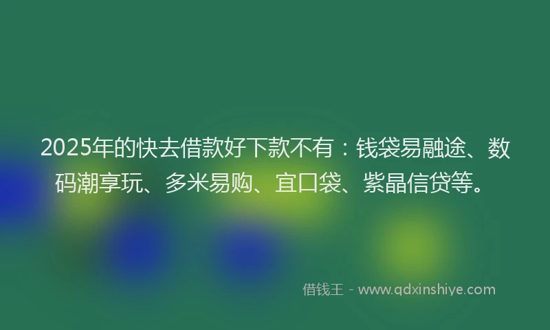 2025年的快去借款好下款不有：钱袋易融途、数码潮享玩、多米易购、宜口袋、紫晶信贷等。