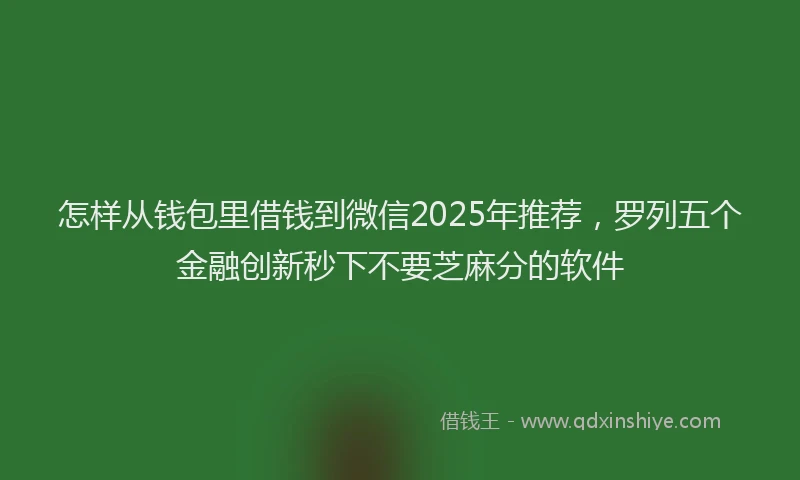怎样从钱包里借钱到微信2025年推荐，罗列五个金融创新秒下不要芝麻分的软件