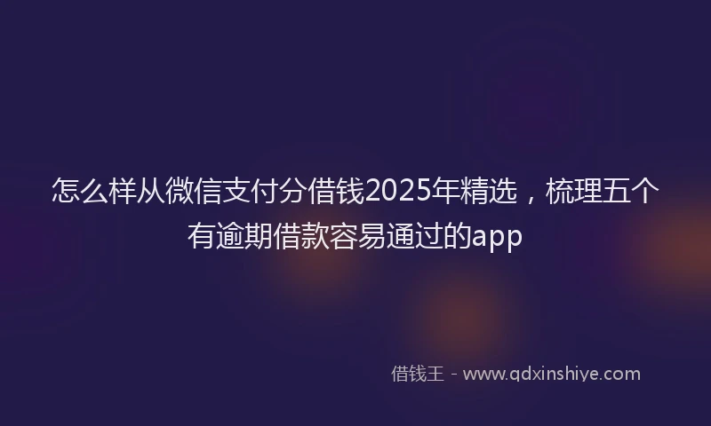 怎么样从微信支付分借钱2025年精选，梳理五个有逾期借款容易通过的app