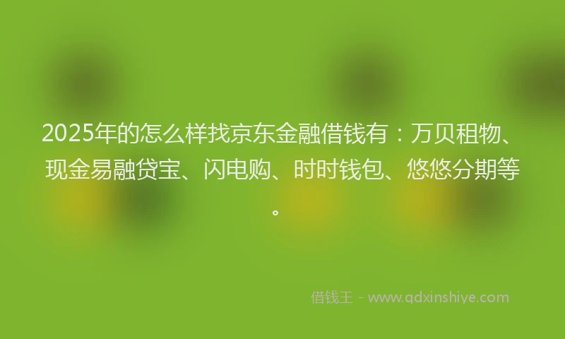 2025年的怎么样找京东金融借钱有：万贝租物、现金易融贷宝、闪电购、时时钱包、悠悠分期等。