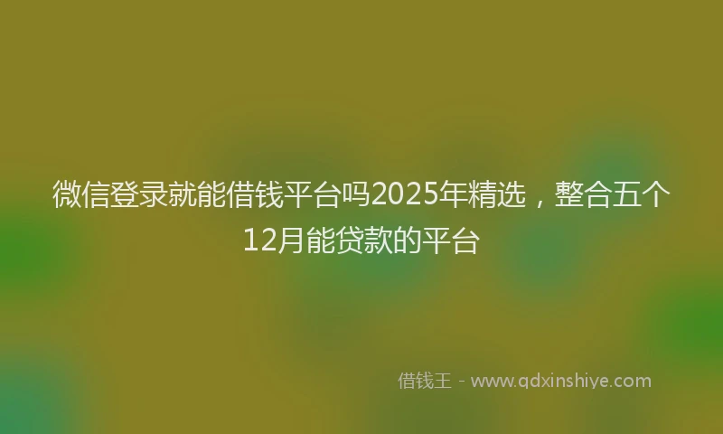微信登录就能借钱平台吗2025年精选，整合五个12月能贷款的平台