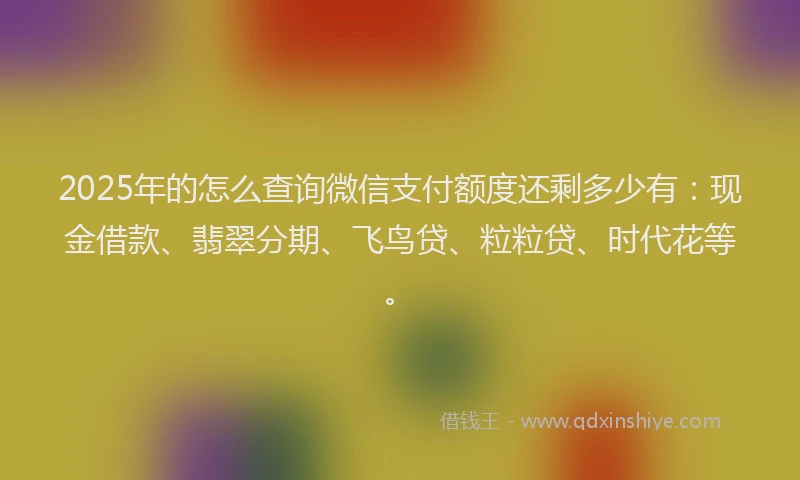 2025年的怎么查询微信支付额度还剩多少有：现金借款、翡翠分期、飞鸟贷、粒粒贷、时代花等。