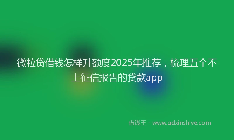 微粒贷借钱怎样升额度2025年推荐，梳理五个不上征信报告的贷款app