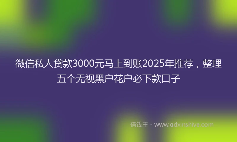 微信私人贷款3000元马上到账2025年推荐，整理五个无视黑户花户必下款口子