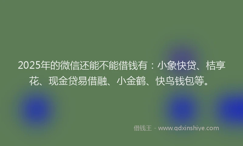 2025年的微信还能不能借钱有：小象快贷、桔享花、现金贷易借融、小金鹤、快鸟钱包等。
