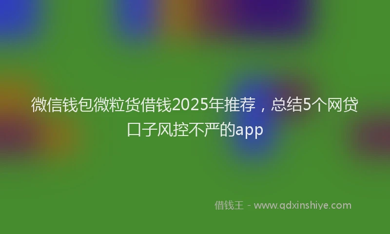 微信钱包微粒货借钱2025年推荐，总结5个网贷口子风控不严的app