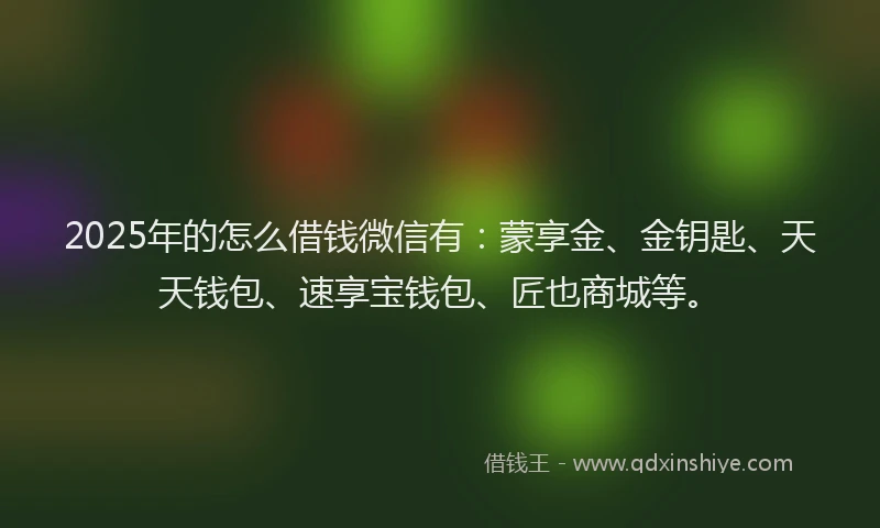 2025年的怎么借钱微信有：蒙享金、金钥匙、天天钱包、速享宝钱包、匠也商城等。