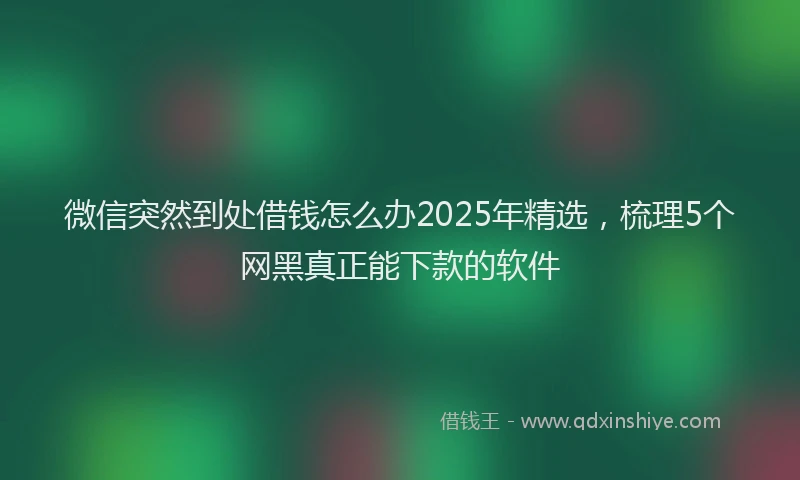 微信突然到处借钱怎么办2025年精选，梳理5个网黑真正能下款的软件