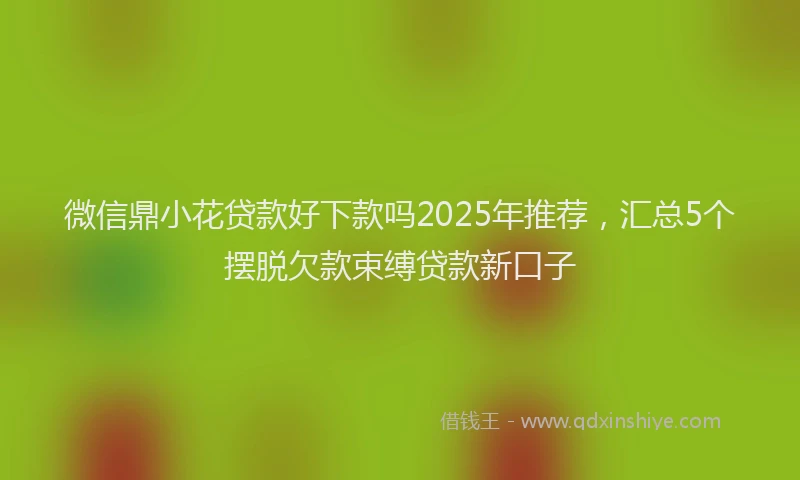 微信鼎小花贷款好下款吗2025年推荐，汇总5个摆脱欠款束缚贷款新口子
