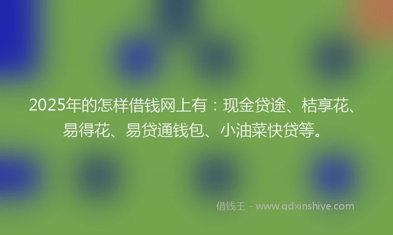 2025年的怎样借钱网上有：现金贷途、桔享花、易得花、易贷通钱包、小油菜快贷等。