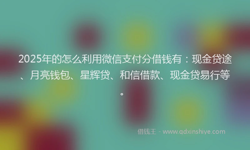 2025年的怎么利用微信支付分借钱有：现金贷途、月亮钱包、星辉贷、和信借款、现金贷易行等。