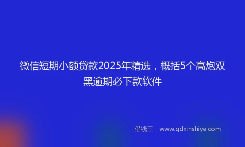 微信短期小额贷款2025年精选，概括5个高炮双黑逾期必下款软件
