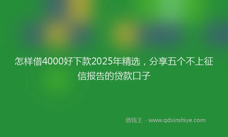怎样借4000好下款2025年精选，分享五个不上征信报告的贷款口子