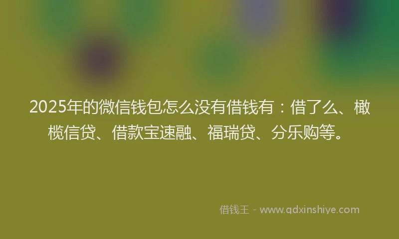 2025年的微信钱包怎么没有借钱有：借了么、橄榄信贷、借款宝速融、福瑞贷、分乐购等。
