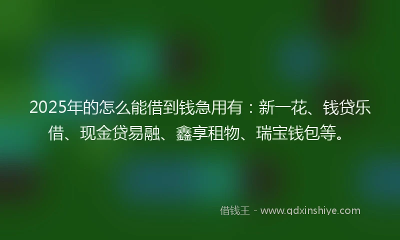 2025年的怎么能借到钱急用有：新一花、钱贷乐借、现金贷易融、鑫享租物、瑞宝钱包等。