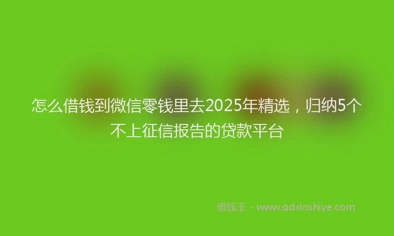 怎么借钱到微信零钱里去2025年精选，归纳5个不上征信报告的贷款平台