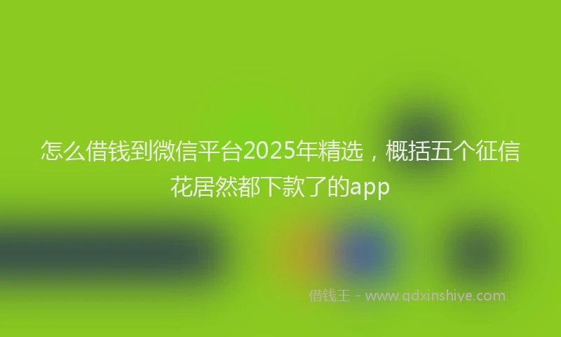 怎么借钱到微信平台2025年精选，概括五个征信花居然都下款了的app
