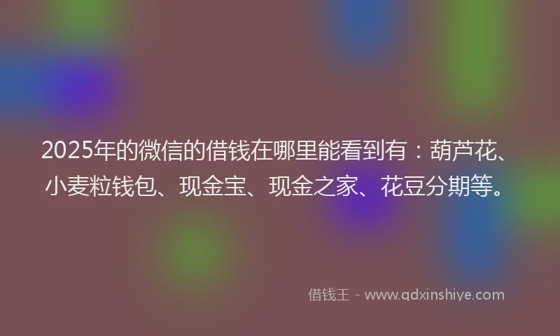 2025年的微信的借钱在哪里能看到有：葫芦花、小麦粒钱包、现金宝、现金之家、花豆分期等。