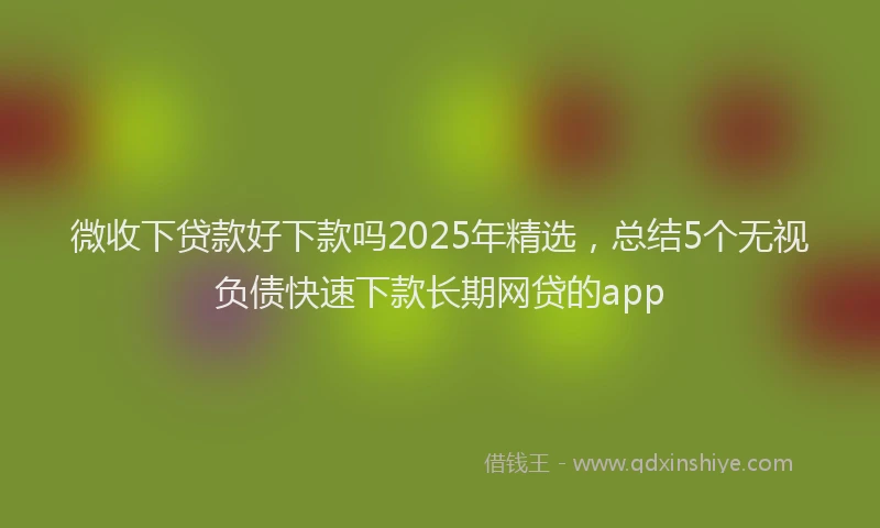 微收下贷款好下款吗2025年精选，总结5个无视负债快速下款长期网贷的app