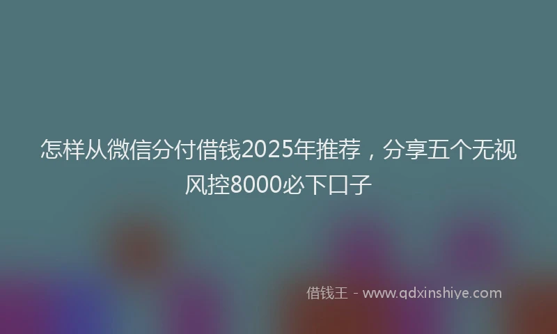 怎样从微信分付借钱2025年推荐，分享五个无视风控8000必下口子