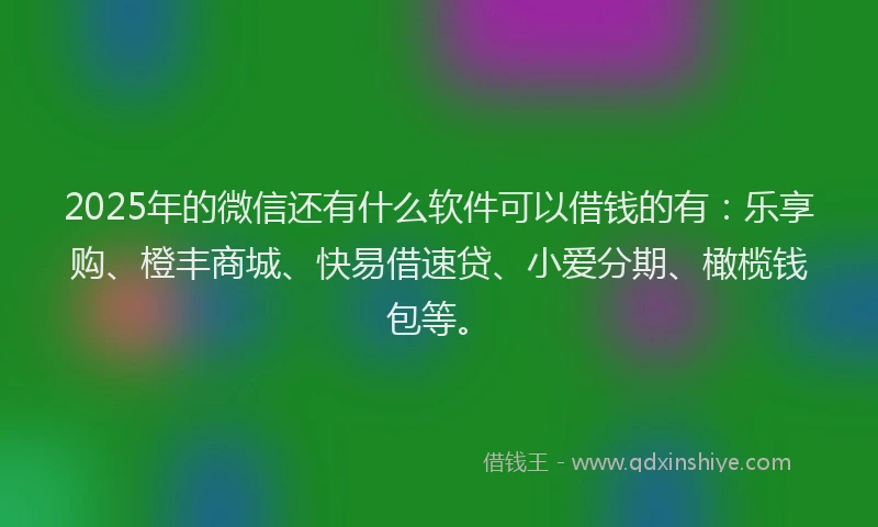 2025年的微信还有什么软件可以借钱的有：乐享购、橙丰商城、快易借速贷、小爱分期、橄榄钱包等。