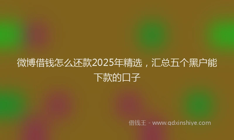 微博借钱怎么还款2025年精选，汇总五个黑户能下款的口子