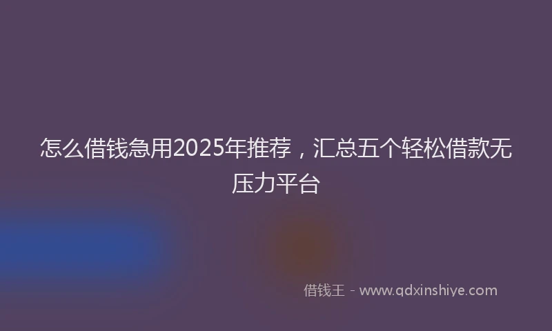 怎么借钱急用2025年推荐，汇总五个轻松借款无压力平台