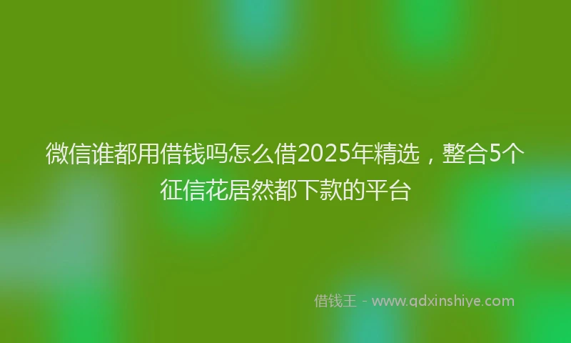 微信谁都用借钱吗怎么借2025年精选，整合5个征信花居然都下款的平台
