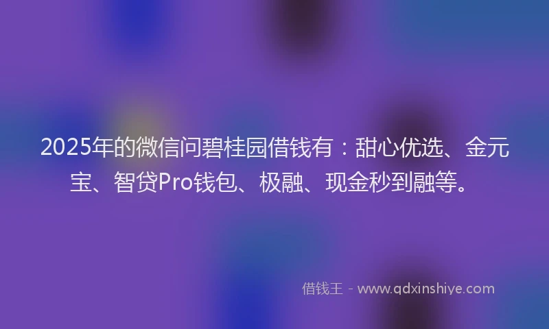 2025年的微信问碧桂园借钱有：甜心优选、金元宝、智贷Pro钱包、极融、现金秒到融等。