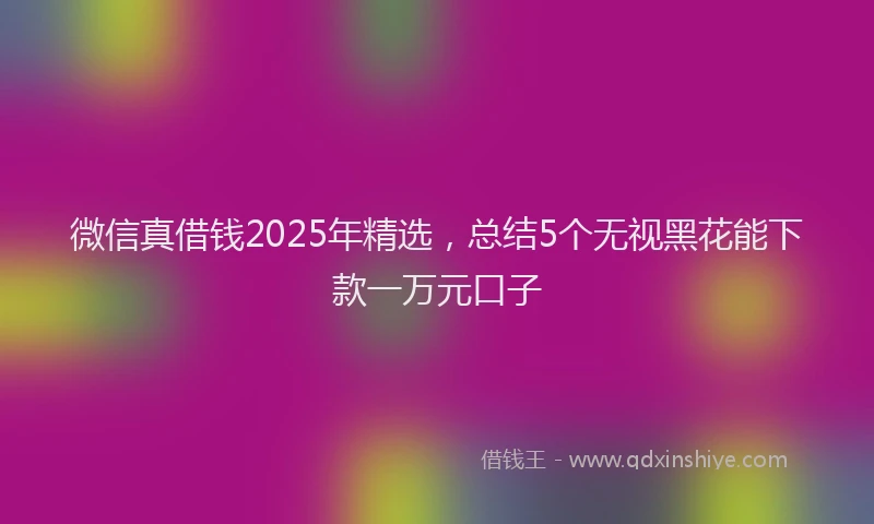 微信真借钱2025年精选，总结5个无视黑花能下款一万元口子