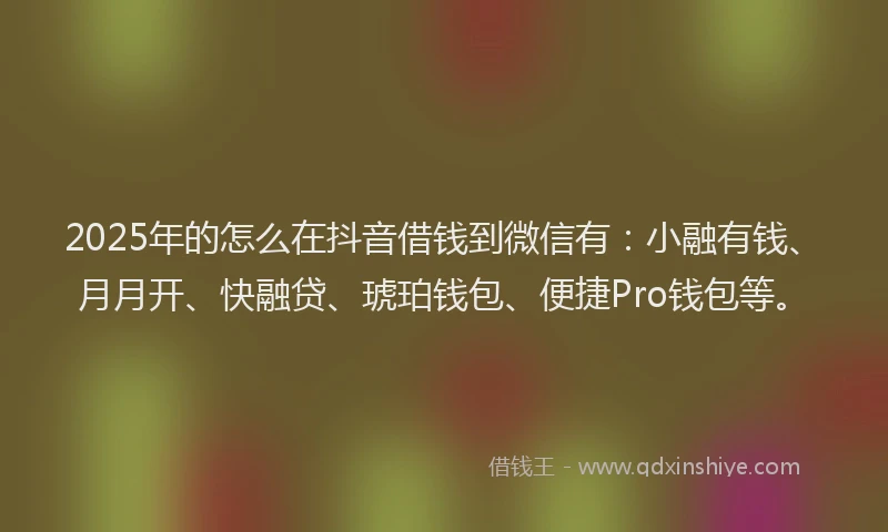 2025年的怎么在抖音借钱到微信有：小融有钱、月月开、快融贷、琥珀钱包、便捷Pro钱包等。
