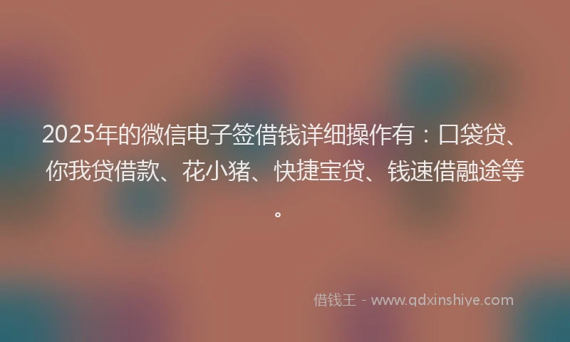2025年的微信电子签借钱详细操作有：口袋贷、你我贷借款、花小猪、快捷宝贷、钱速借融途等。